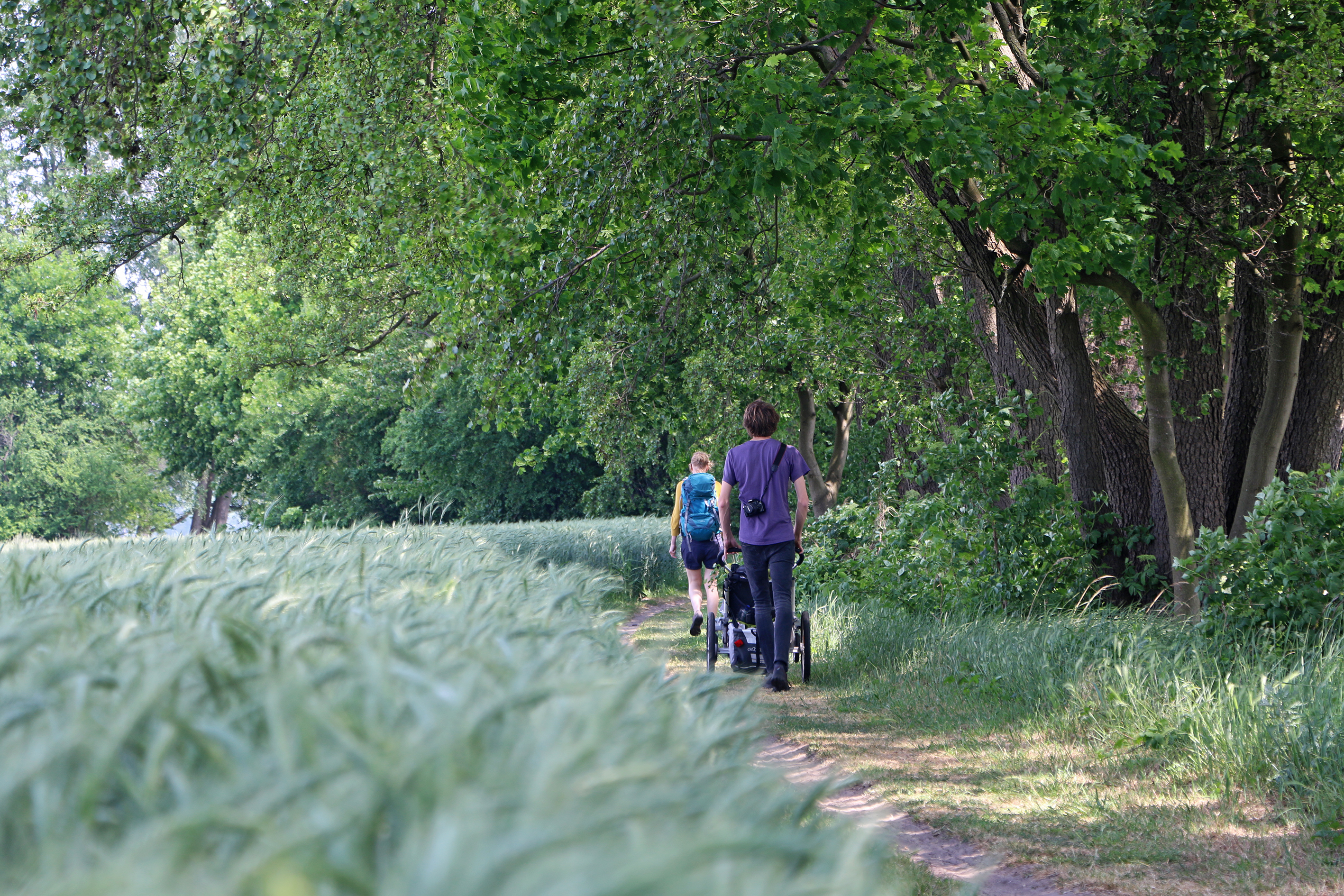 Wandern mit Kindern rund um Berlin - 21 kinderwagenfreundliche Touren (Buch)