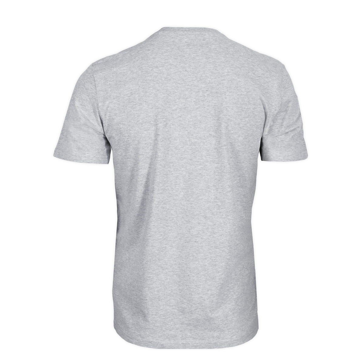 EINS T-Shirt - grau