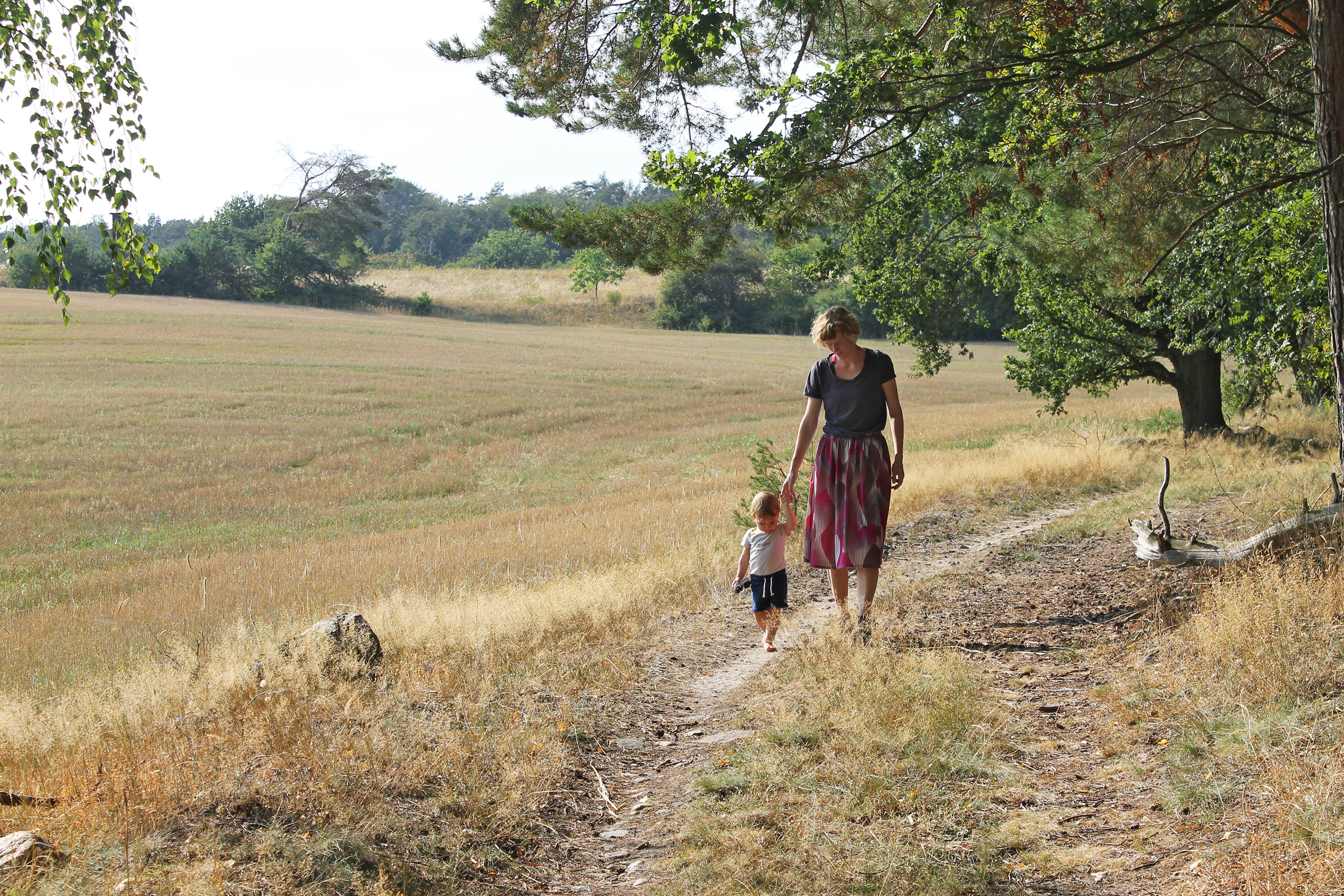 Wandern mit Kindern rund um Berlin - 21 kinderwagenfreundliche Touren (Buch)