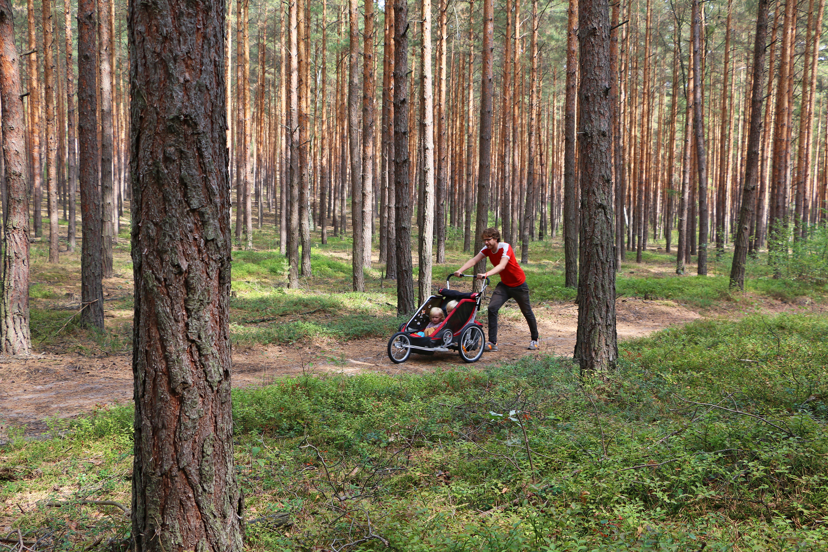 Wandern mit Kindern rund um Berlin - 21 kinderwagenfreundliche Touren (Buch)