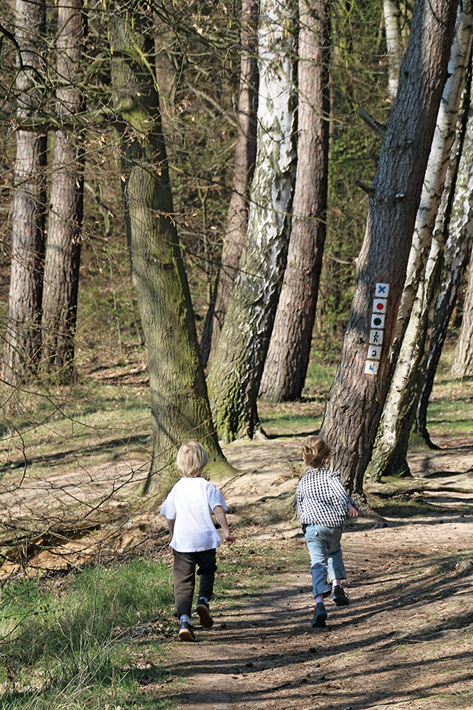 Wandern mit Kindern rund um Berlin - 21 kinderwagenfreundliche Touren (Buch)